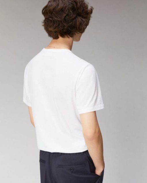 Basicpost.shop5007d3986d 3